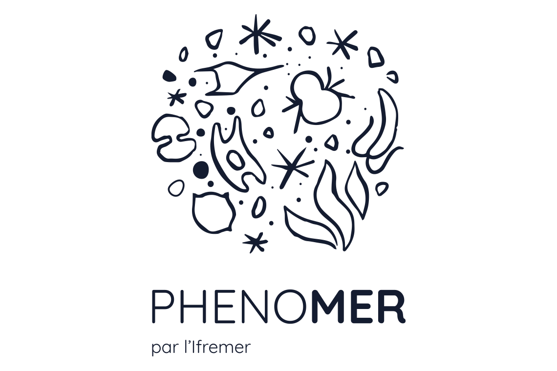 Logo phenomer Nicolas Roullet